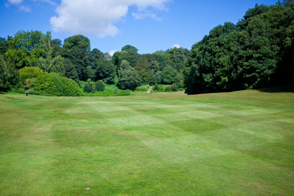 Lady Section Rules DGC Dorking GC has a long history of being one of
